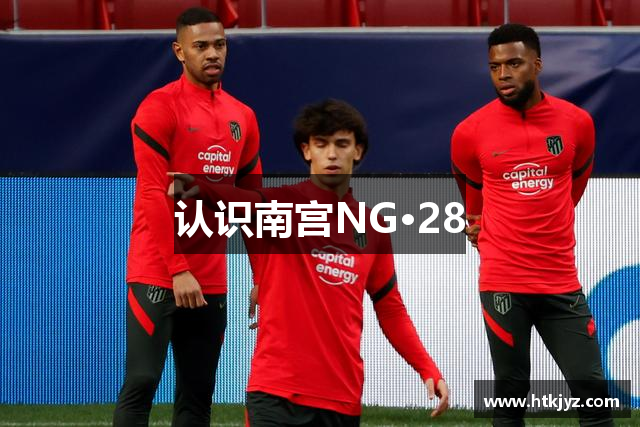 认识南宫NG·28